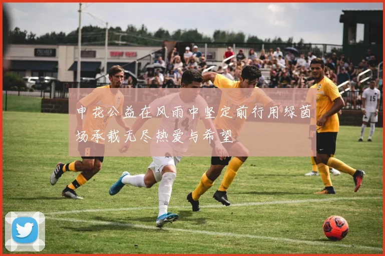 申花公益在风雨中坚定前行用绿茵场承载无尽热爱与希望