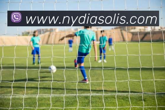 博业体育网页APP 封面图